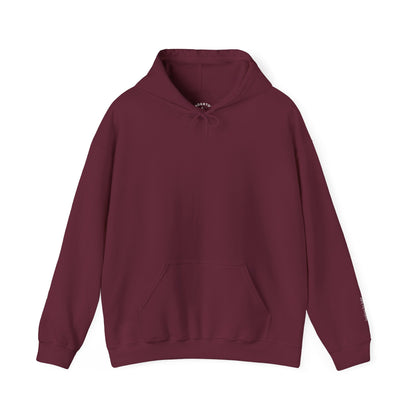 looking for light - octopus and lighthouse graphic hoodie