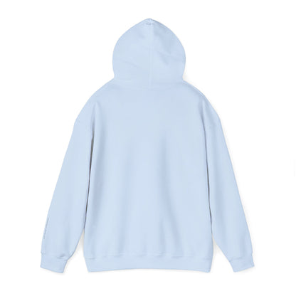 soft things snag easily - jellyfish and fishing line graphic hoodie